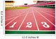 stadium Wall Mural