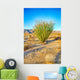 Blossoming Ocotillo Wall Decal