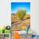 Blossoming Ocotillo Wall Decal