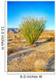 Blossoming Ocotillo Wall Decal