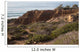 Torrey Pines State Natural Wall Decal