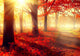 Fall Scene Beautiful Autumnal Wall Decal