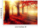 Fall Scene Beautiful Autumnal Wall Decal