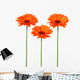Orange flowers Wall Decal