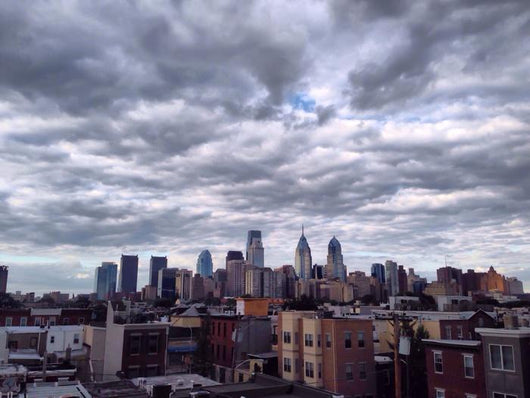 Philadelphia Skyline Wall Decal