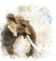 Watercolor Elephant Wall Decal