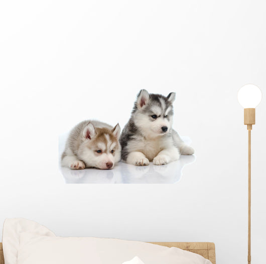 Little Husky Puppies Wall Decal