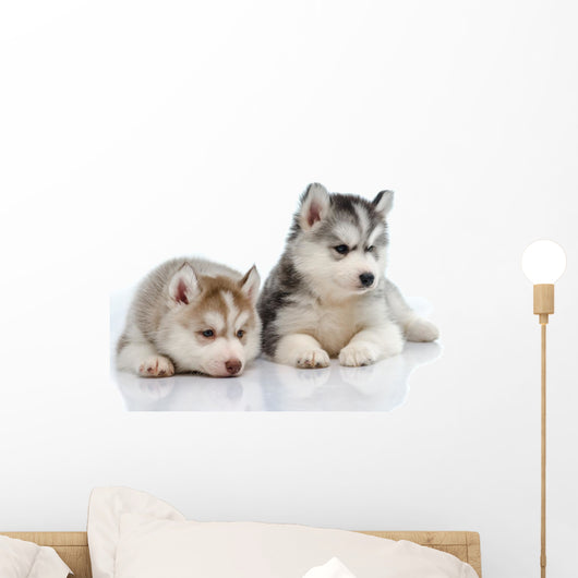 Little Husky Puppies Wall Decal