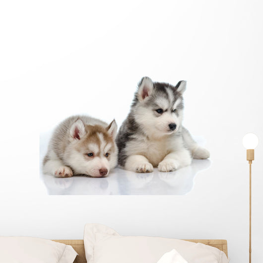 Little Husky Puppies Wall Decal