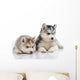 Little Husky Puppies Wall Decal