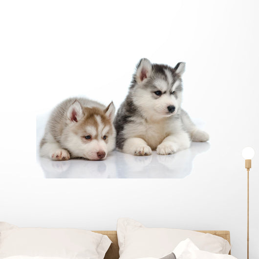 Little Husky Puppies Wall Decal