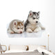 Little Husky Puppies Wall Decal
