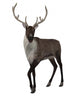 Reindeer Wall Decal