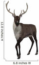 Reindeer Wall Decal