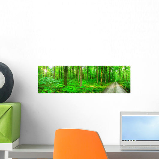 Panorama Forest Wall Decal