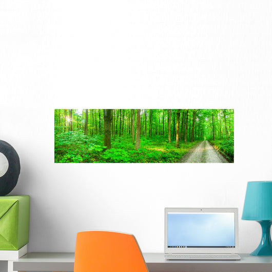Panorama Forest Wall Decal