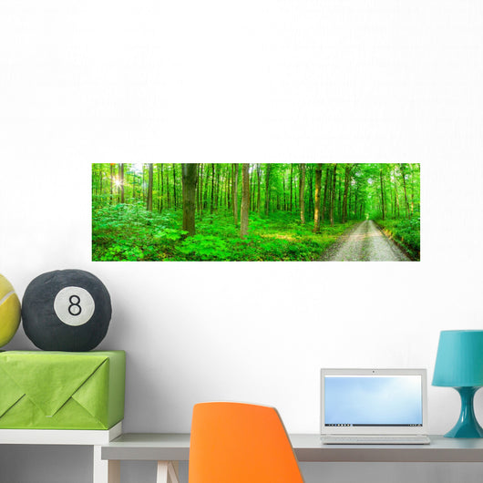 Panorama Forest Wall Decal