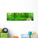 Panorama Forest Wall Decal