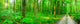 Panorama Forest Wall Decal