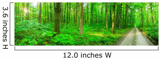Panorama Forest Wall Decal