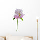 Flower Wild Peony 13 Wall Decal