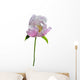Flower Wild Peony 13 Wall Decal