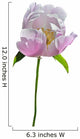 Flower Wild Peony 13 Wall Decal