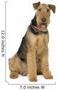 Airedale Terrier 1 Year Wall Decal