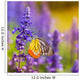Lavender and Butterfly Wall Mural