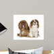 Cavalier King Charles Spaniel 8 Years Wall Decal