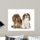 Cavalier King Charles Spaniel 8 Years Wall Decal