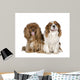 Cavalier King Charles Spaniel 8 Years Wall Decal
