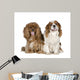 Cavalier King Charles Spaniel 8 Years Wall Decal