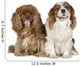 Cavalier King Charles Spaniel 8 Years Wall Decal