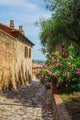 Italian Street Small Provincial 2 Wall Decal