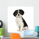 Cavalier King Charles Spaniel 35 Months Wall Decal