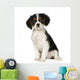 Cavalier King Charles Spaniel 35 Months Wall Decal