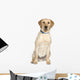 Labrador Wall Decal