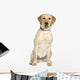 Labrador Wall Decal