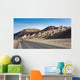 Death Valley Cyclist Wall Decal