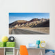 Death Valley Cyclist Wall Decal