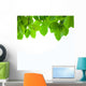 Leave Wall Decal