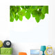 Leave Wall Decal