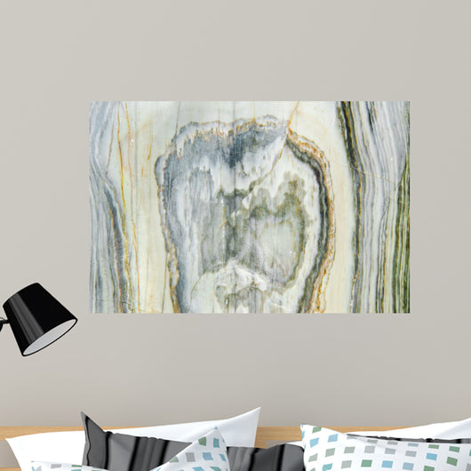 Texture of stone. Wall Mural