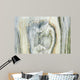 Texture of stone. Wall Mural