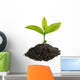 Sprouting Seedling Growth Wall Decal