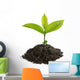 Sprouting Seedling Growth Wall Decal