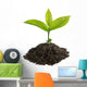 Sprouting Seedling Growth Wall Decal