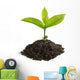 Sprouting Seedling Growth Wall Decal