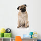 Pug Wall Decal
